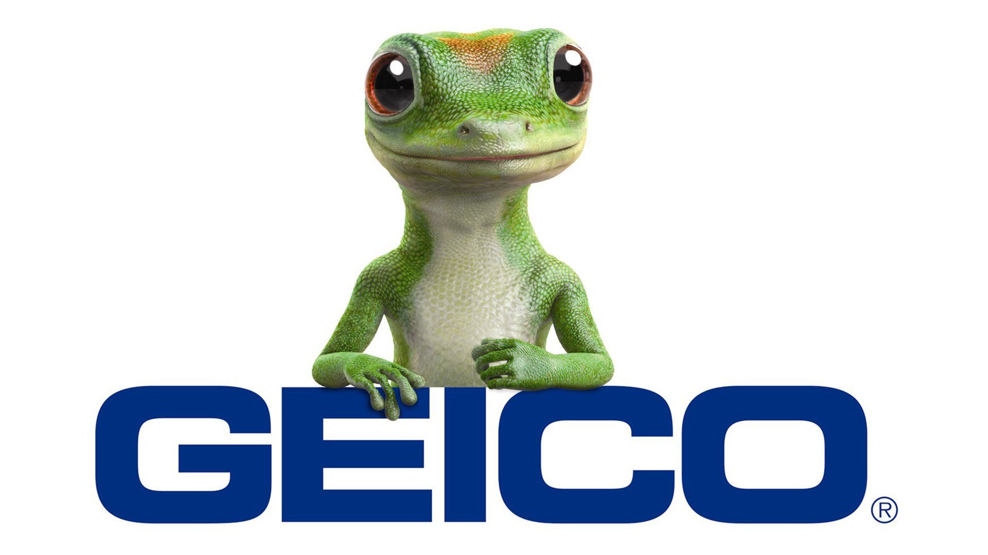 Geico Insurance