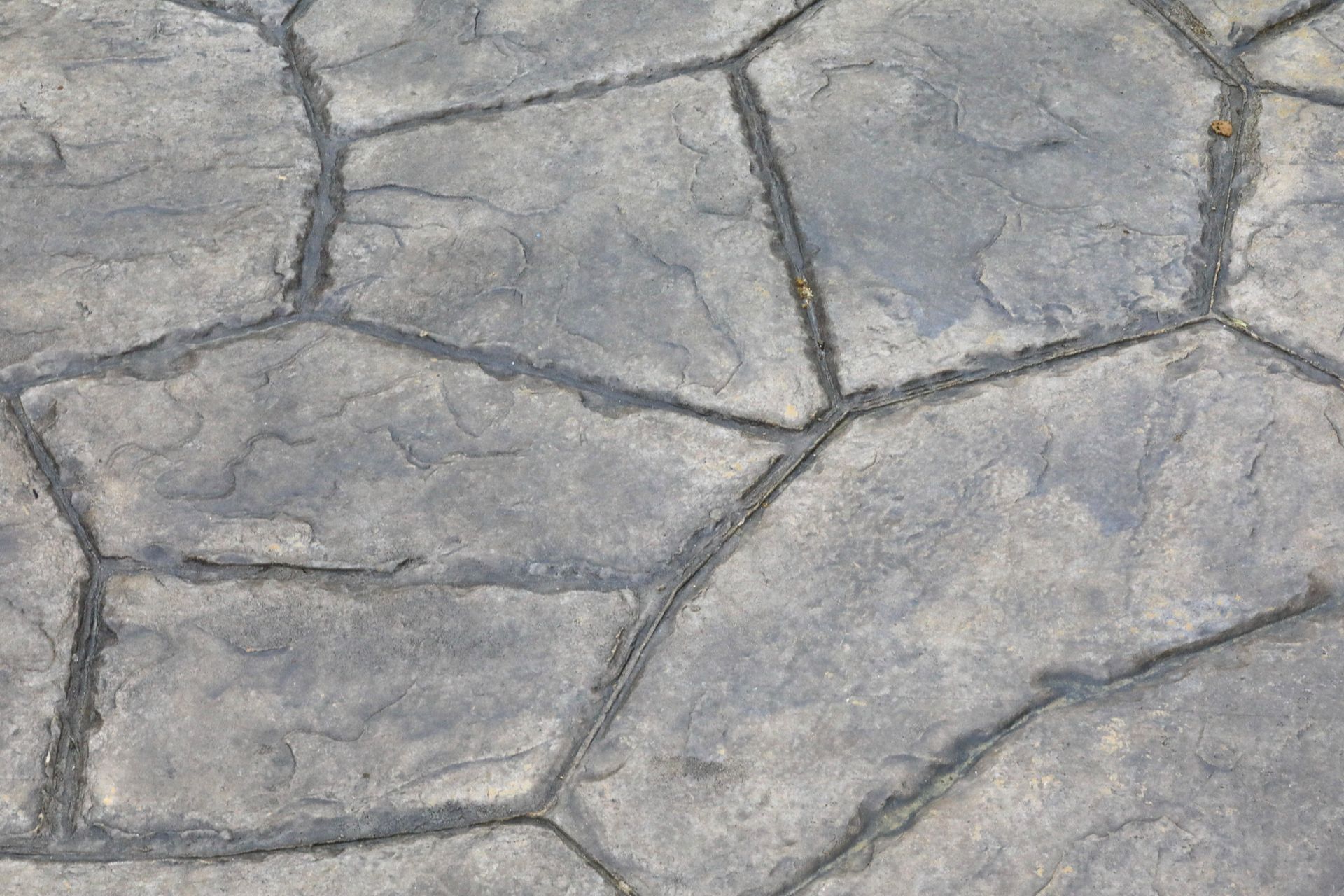 Gray concrete paving with irregular stone pattern.