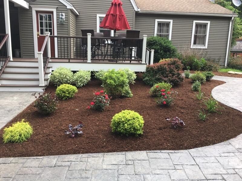 Landscaped yard with a wooden deck and various green and red bushes, mulched in brown.