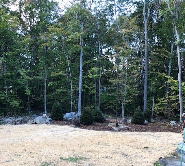 Trees and bushes border a clearing with wood chips and gravel.