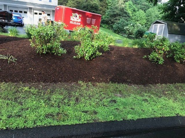 A mulched garden bed with green plants, a red trailer, and a house in the background.