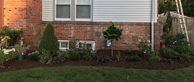 A brick building with a garden of plants and a ladder.