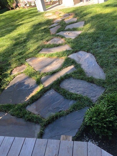 Stone path with grass between the stones in a grassy yard.