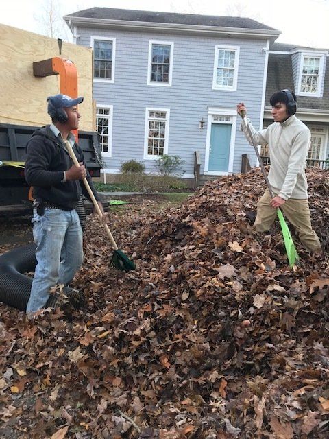 Two men raking leaves in front of a blue house, truck in background.