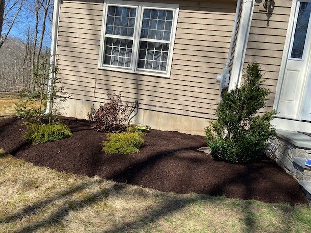 A house with landscaping, featuring dark brown mulch, evergreen plants, and a beige exterior.