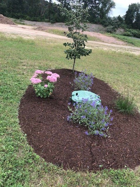 Garden Design - purple pink flowers and baby tree