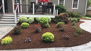 Landscaping