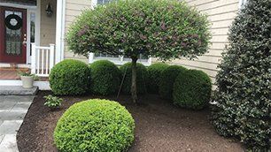 Landscaping