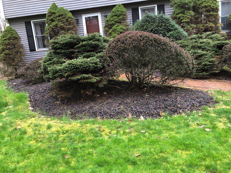 Green lawn with a dark mulch bed containing multiple green and reddish shrubs in front of a gray house.
