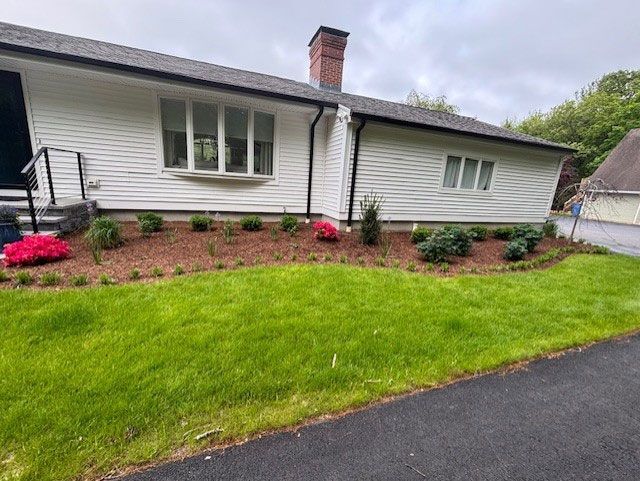 White house with a new mulch bed, green lawn, and azaleas in bloom.