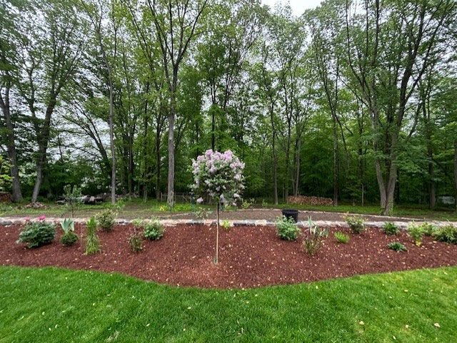 A manicured lawn with a mulched flower bed in front of a forest of trees.