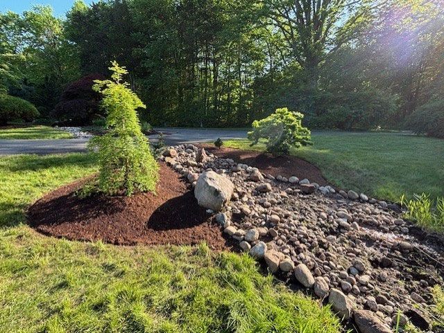 A dry riverbed landscape with two trees on either side. Green grass surrounds.