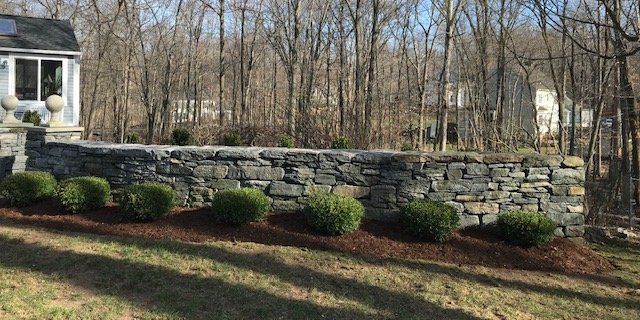 Retaining wall with hedges in front