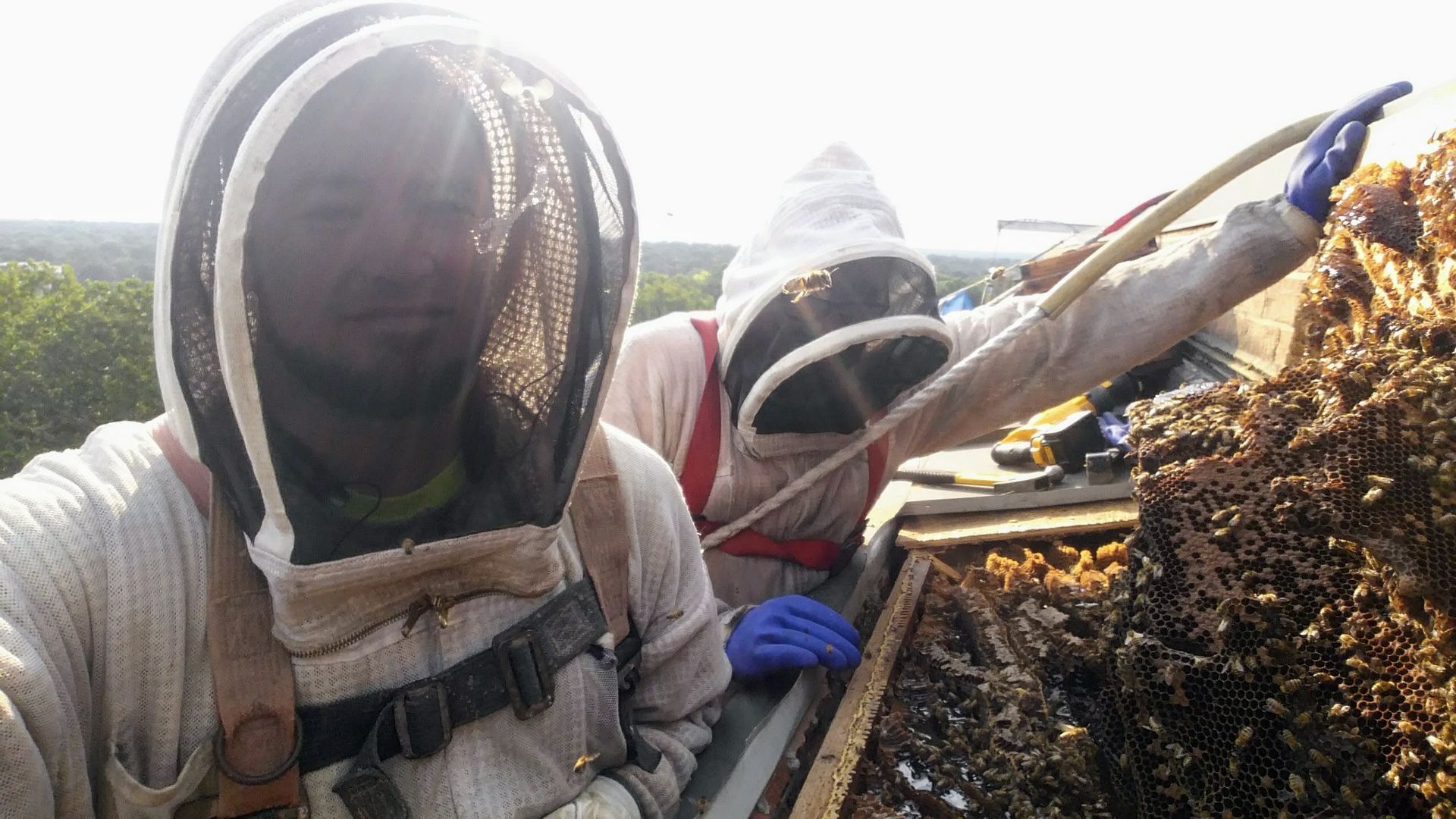 A man wearing a beekeeper 's suit is standing next to a beehive.
