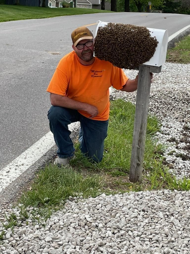 A man is kneeling next to a mailbox filled with bees.