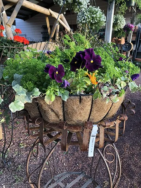 plant material