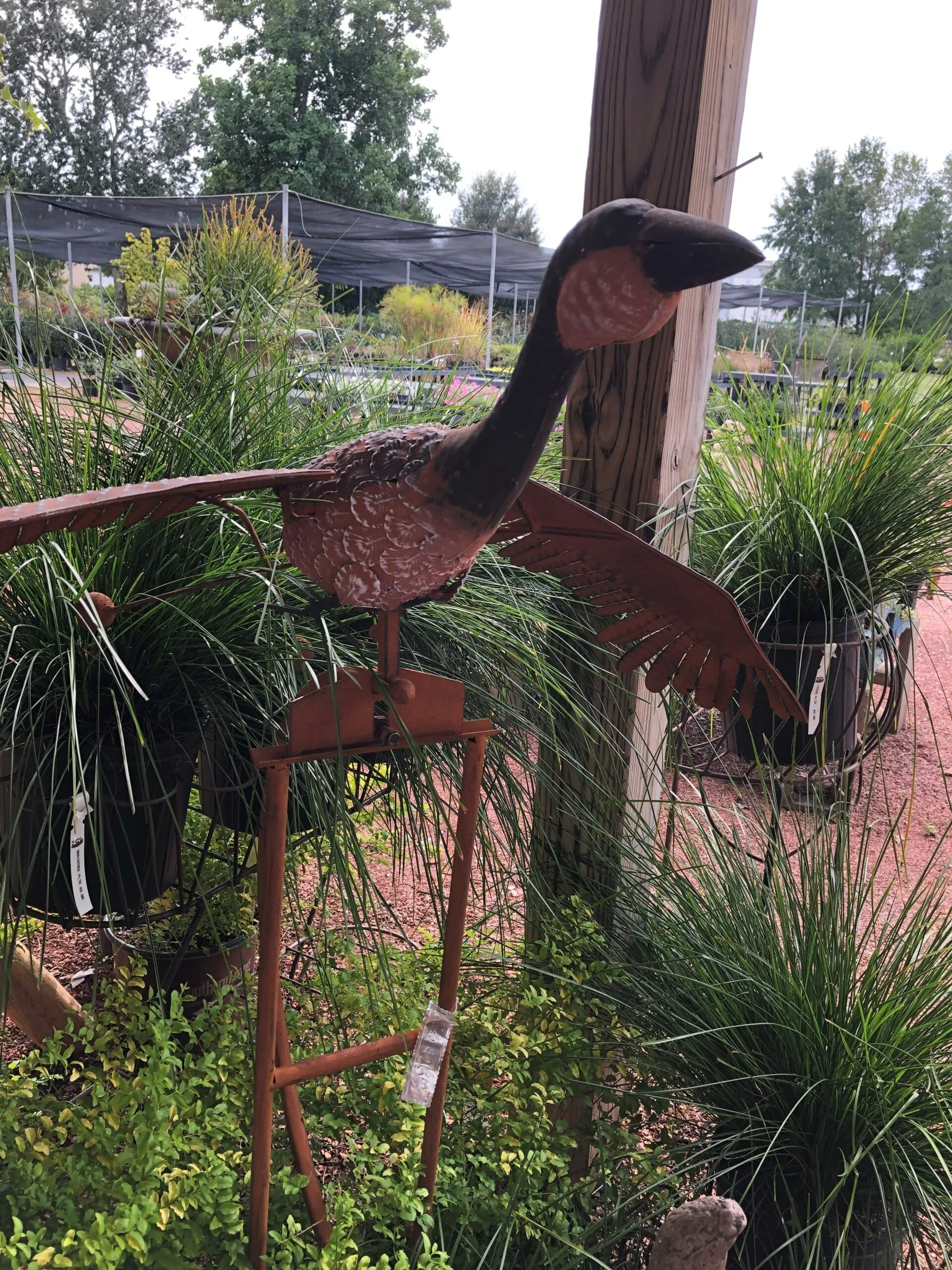 gardening and landscaping needs