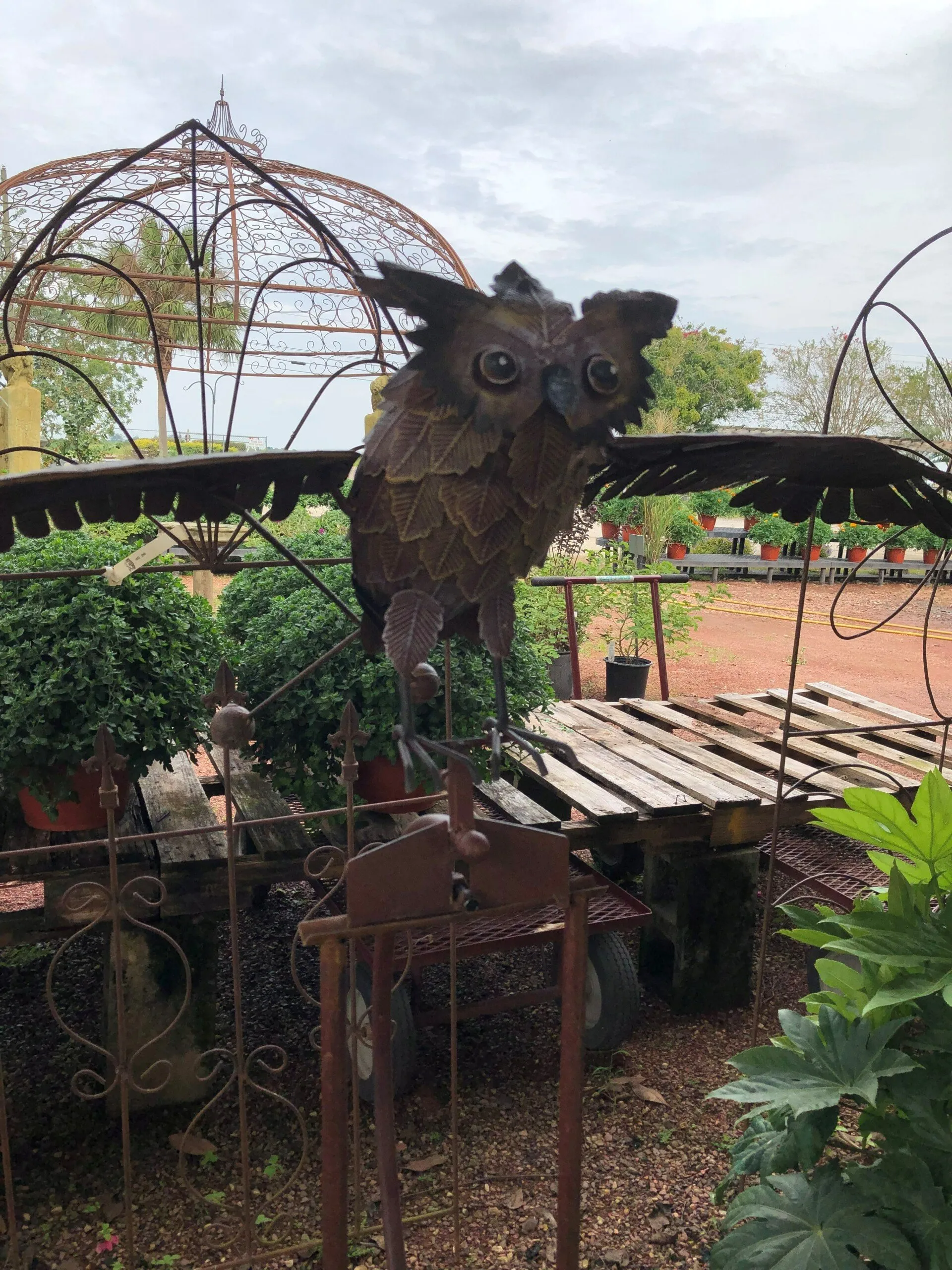 gardening and landscaping needs