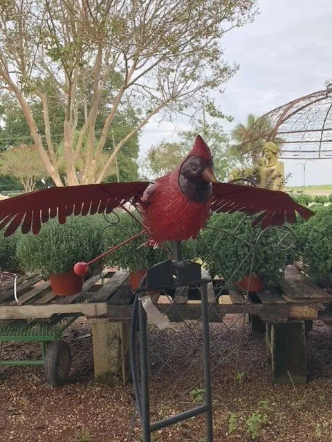 gardening and landscaping needs