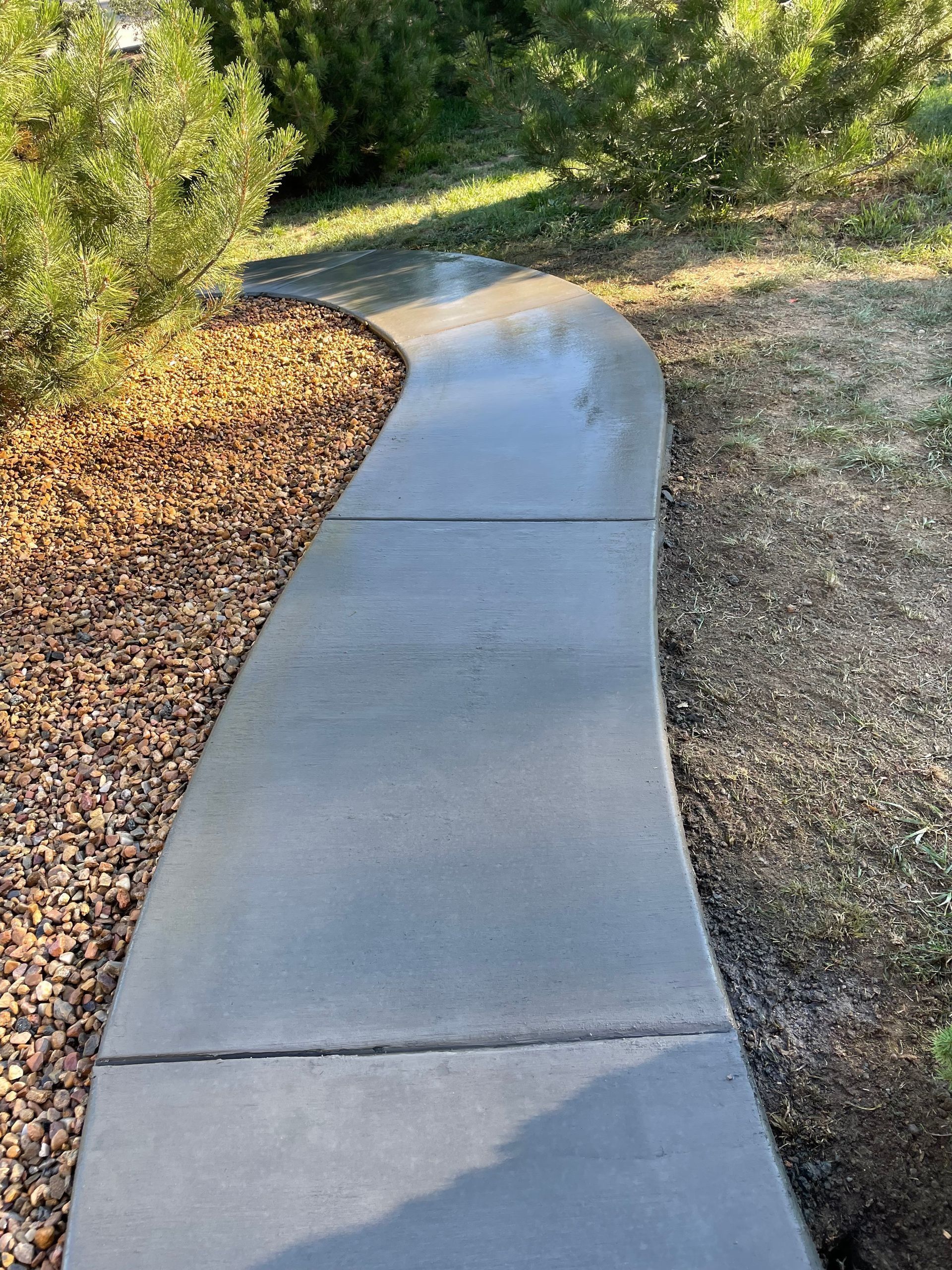 Curved concrete sidewalk winding through a leafy outdoor area with mulch and grass on both sides