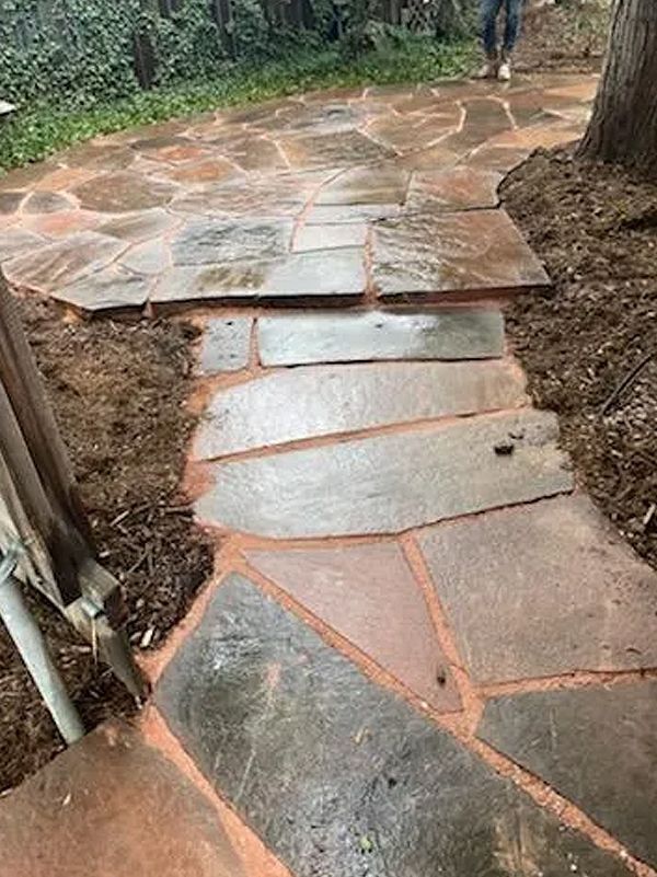 Stone walkway through a wooded area with wet, irregular paving slabs and a tree on the right