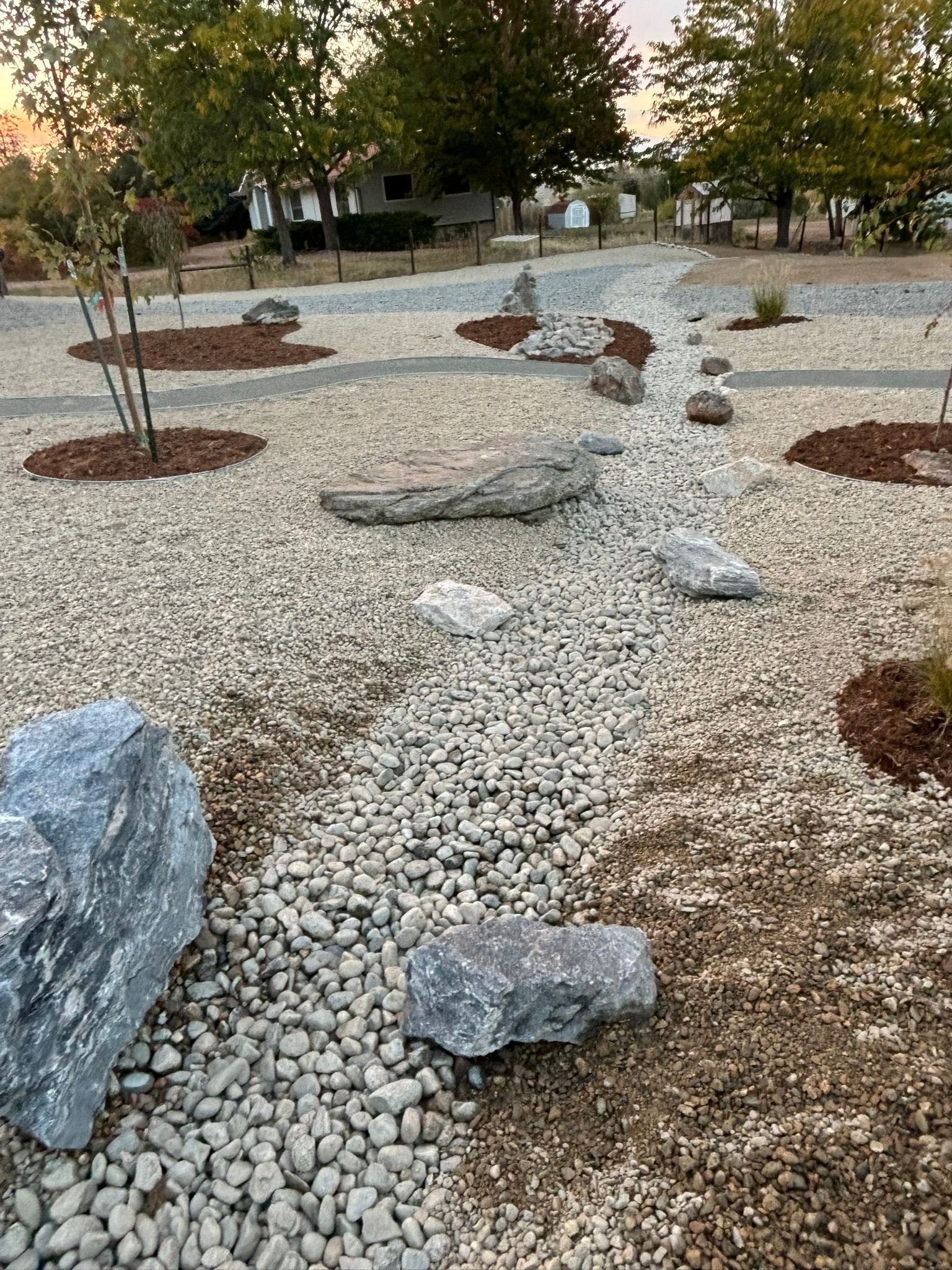 Rivers of white pebbles and scattered boulders in a landscaped garden with young trees and mulch circles