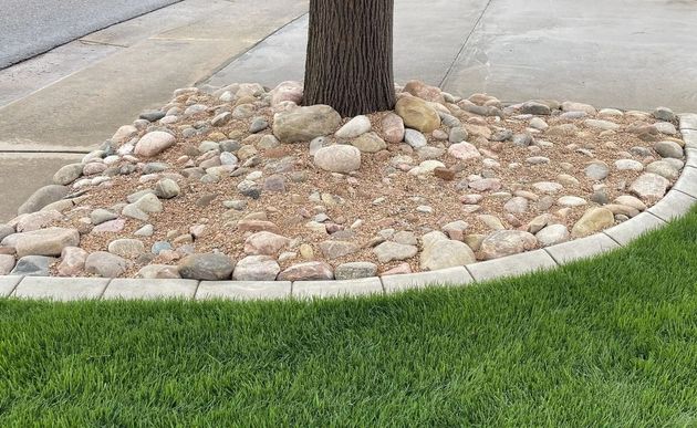 Tree in a landscaped rock bed bordered by concrete, beside a green lawn and sidewalk.