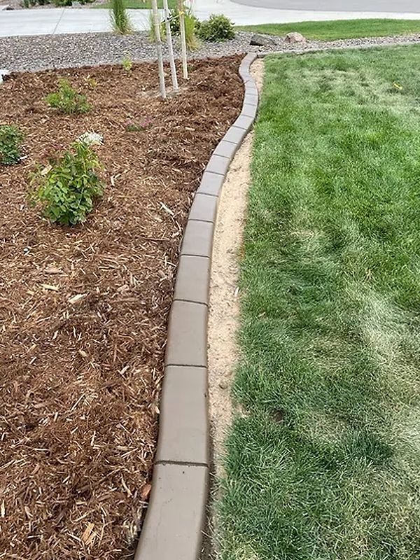 Curved concrete garden edging dividing a mulched bed from a grassy lawn