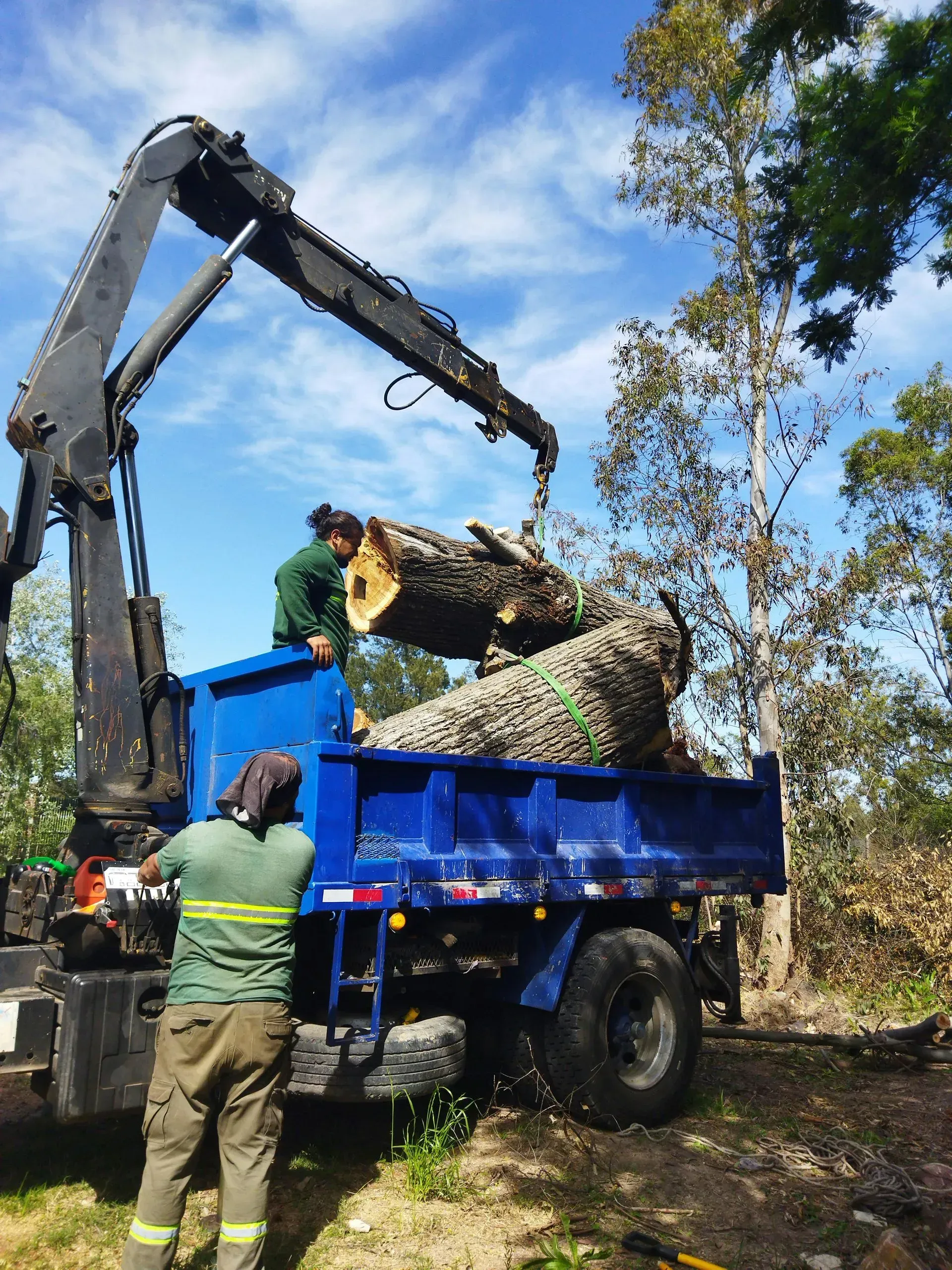 Excavator loading cut wood into a blue truck in a wooded area