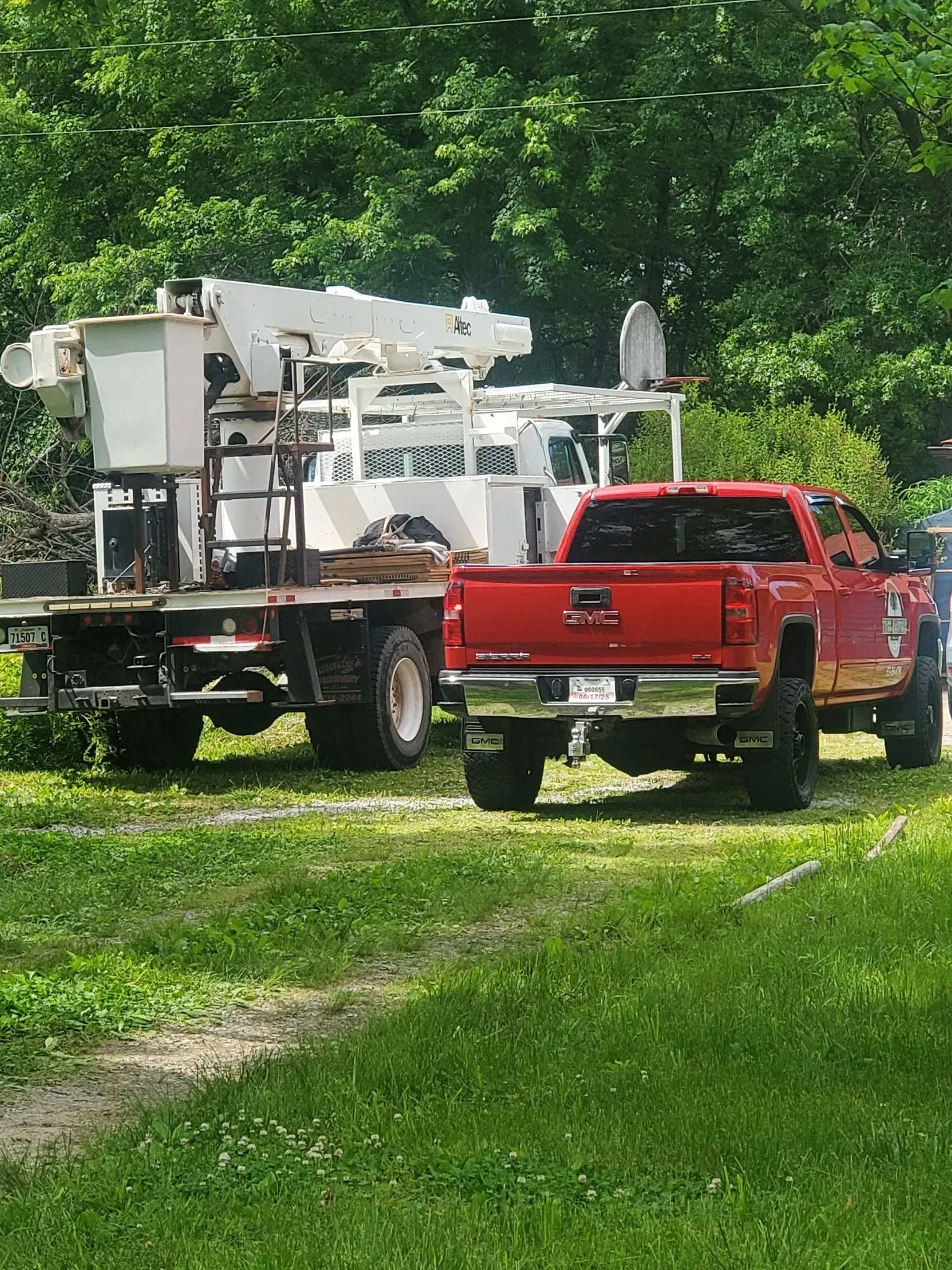 Red pickup truck and white utility truck parked on grass among trees.