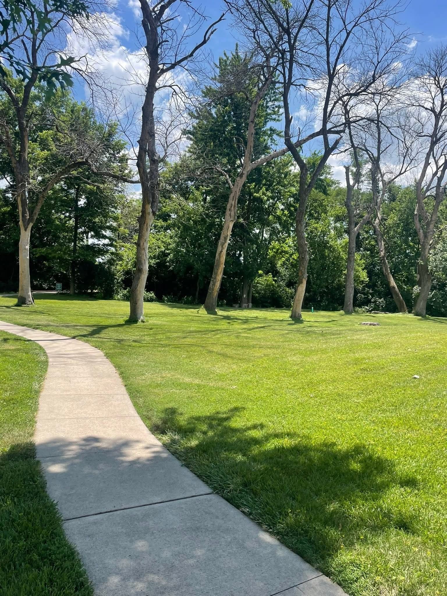 Curving concrete path through a sunny green park with tall trees and blue sky