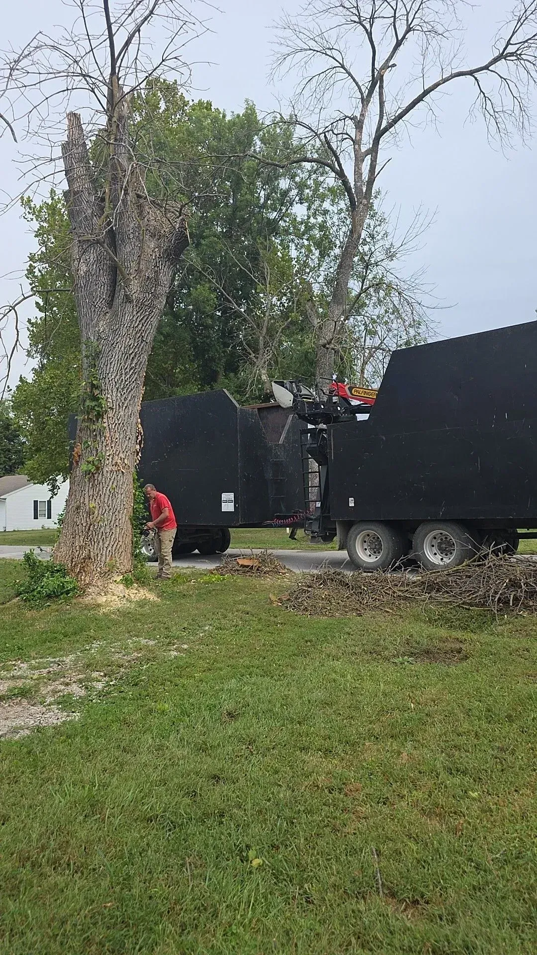 Workers loading debris into a black truck beside a large tree in a grassy yard.