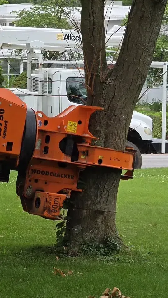Orange wood chipper grinding a tree trunk in a grassy yard with a white truck in the background