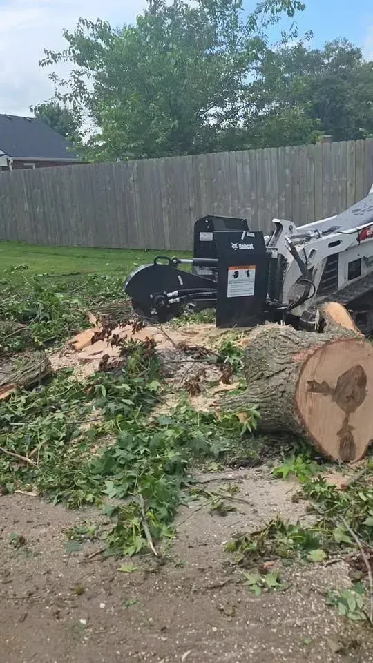 Wood chipper beside a pile of cut tree branches and logs in a backyard, with a wooden fence and trees.
