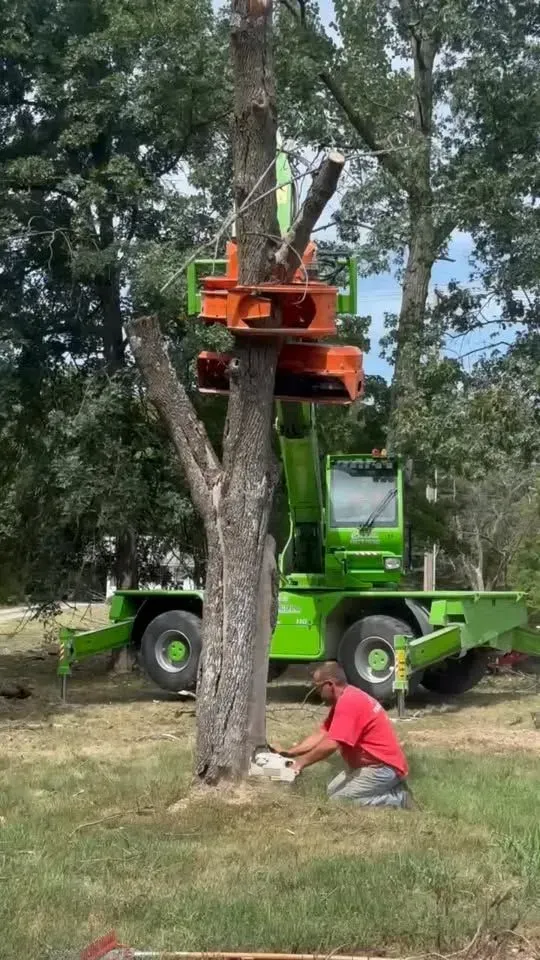 Worker in red kneels by a tree while a green bucket lift trims branches above.