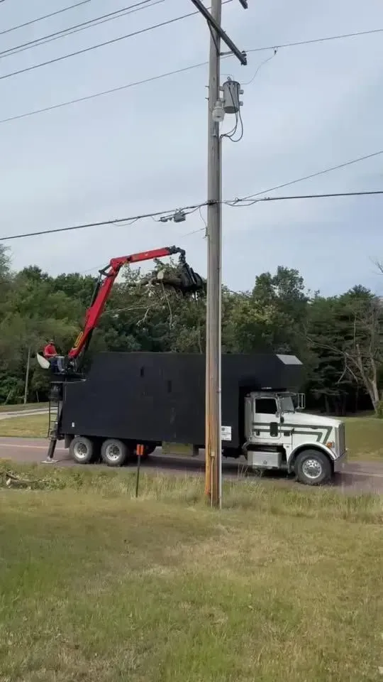 Red crane truck lifting branches into a black dump truck beside a utility pole on a grassy roadside.