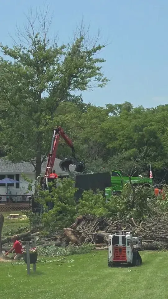 Tree removal crew with red excavator clearing fallen branches in a grassy yard.