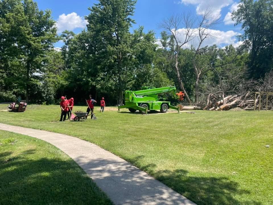 Workers in red shirts near a green lift truck in a park, with trimmed branches on the right.