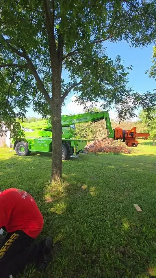 Green truck unloading debris beside a tree in a grassy yard, with an orange machine nearby.