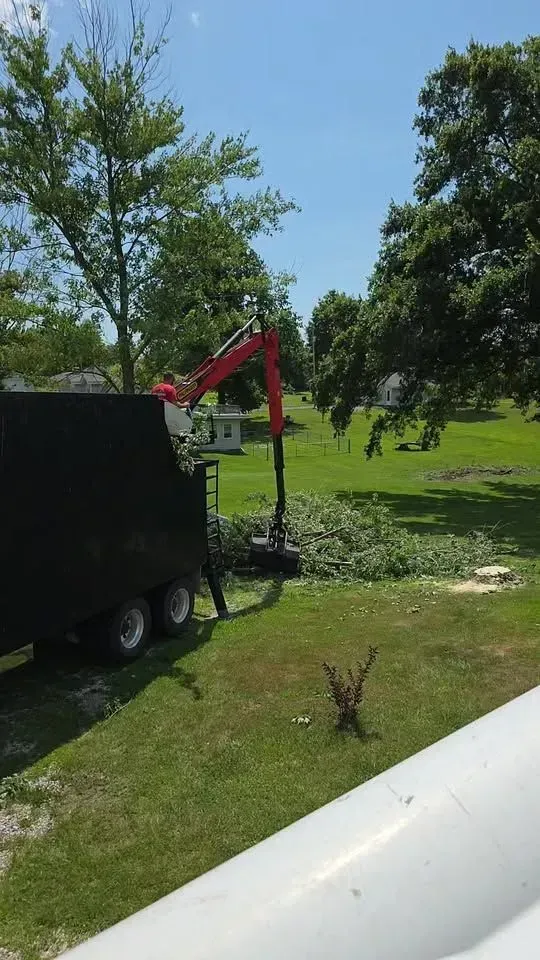 Black trailer with red crane parked on grass in a sunny park with trees and a small stream.
