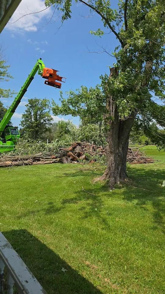 Green lift arm pruning a tree in a sunny yard with a pile of branches on the ground
