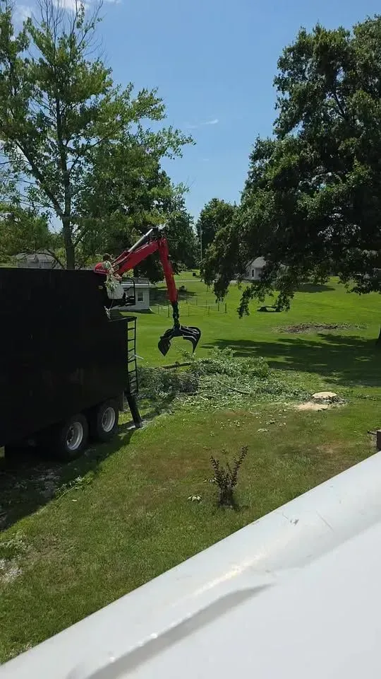 Red excavator beside a black trailer in a grassy park with trees under a clear sky