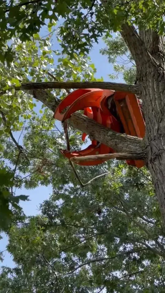 Red treehouse or platform nestled among green leaves on a tree branch