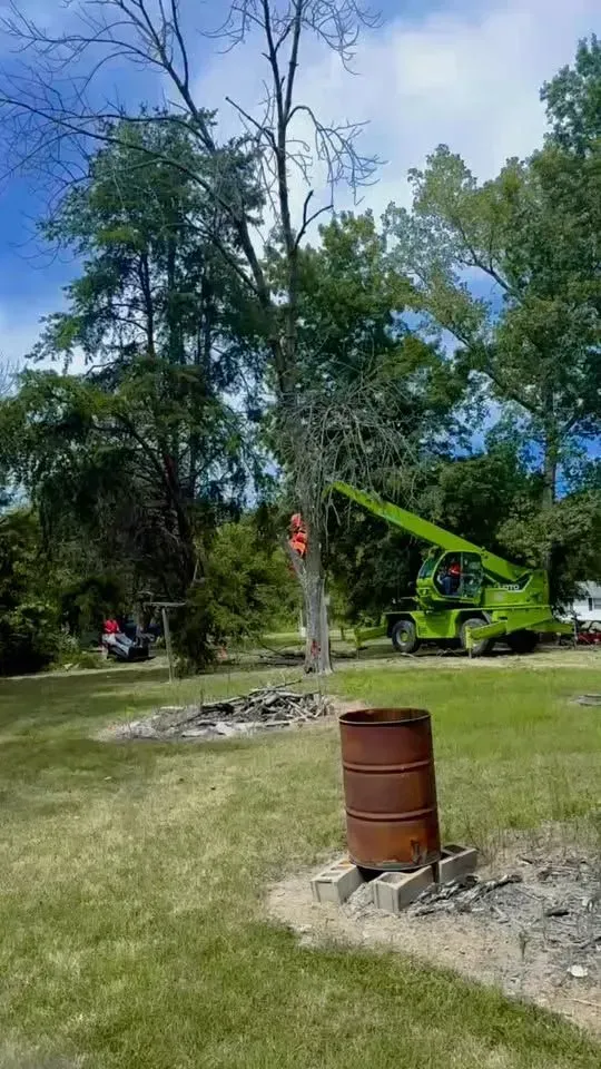 Rusty barrel in a park clearing with trees, rocks, and a green crane under a blue sky.