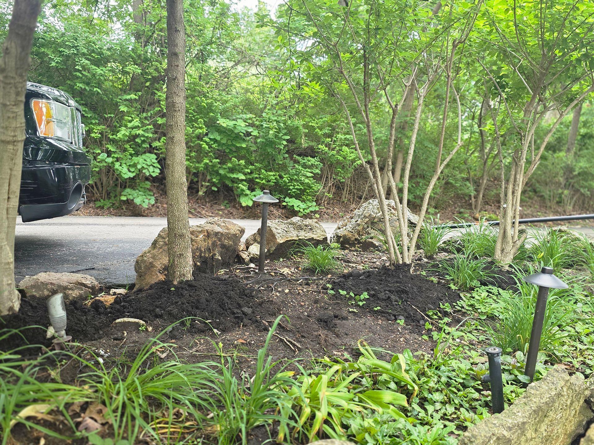 Wooded garden path with rocks, mulch, and small solar lights beside a gravel drive