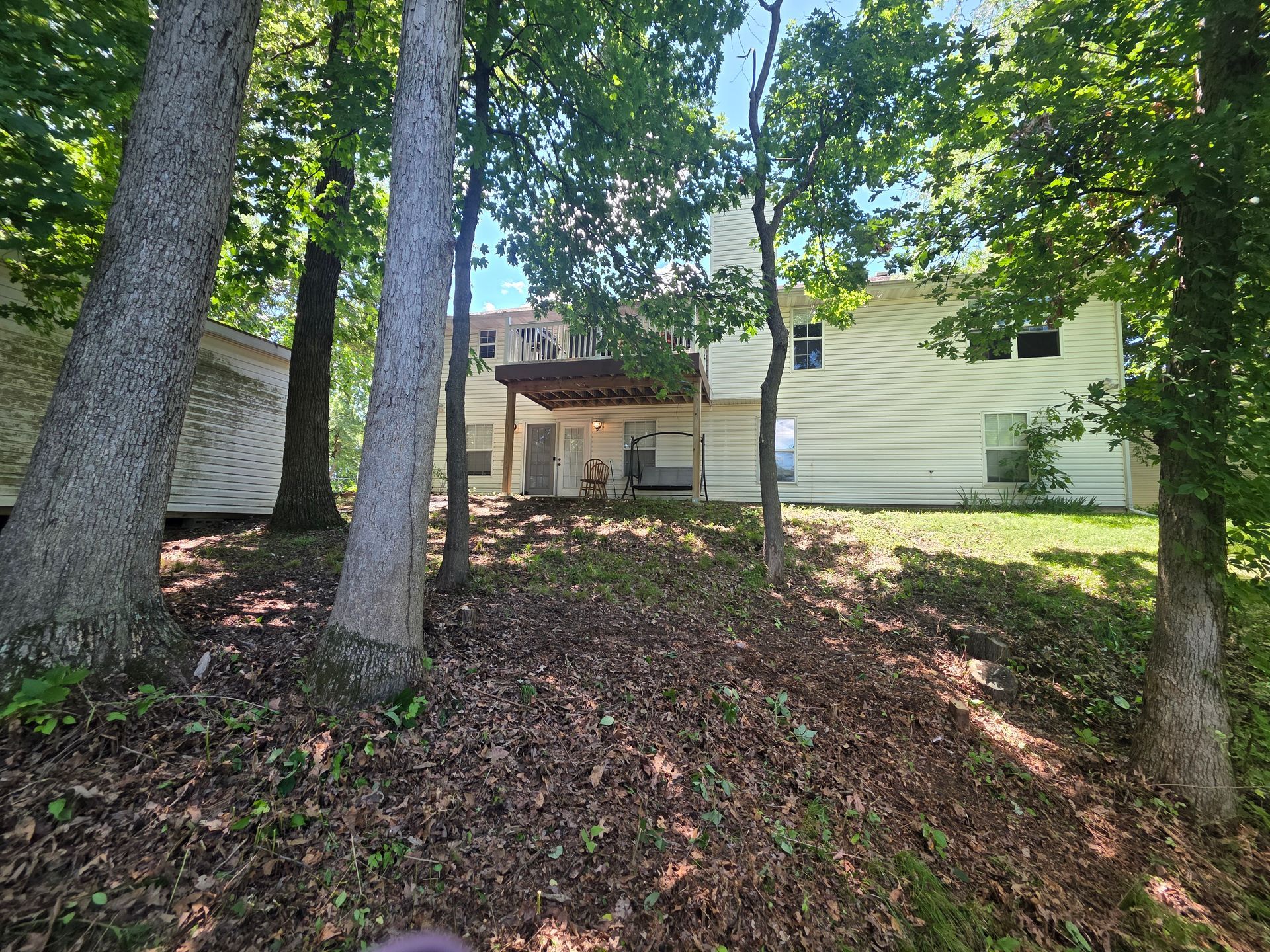 Wooded backyard with a small house and porch on a grassy, leaf-covered slope