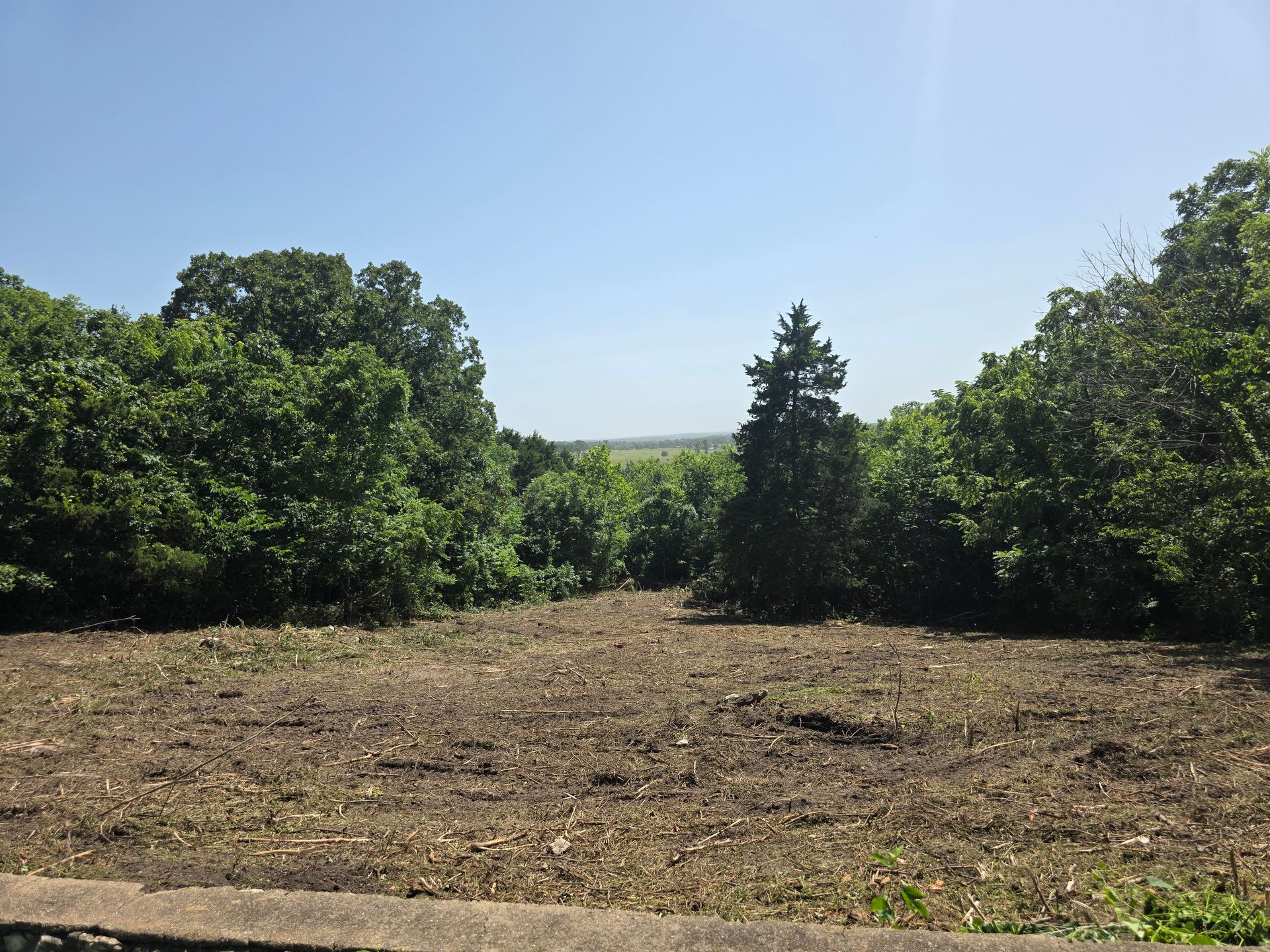 Cleared dirt lot bordered by green trees under a bright blue sky
