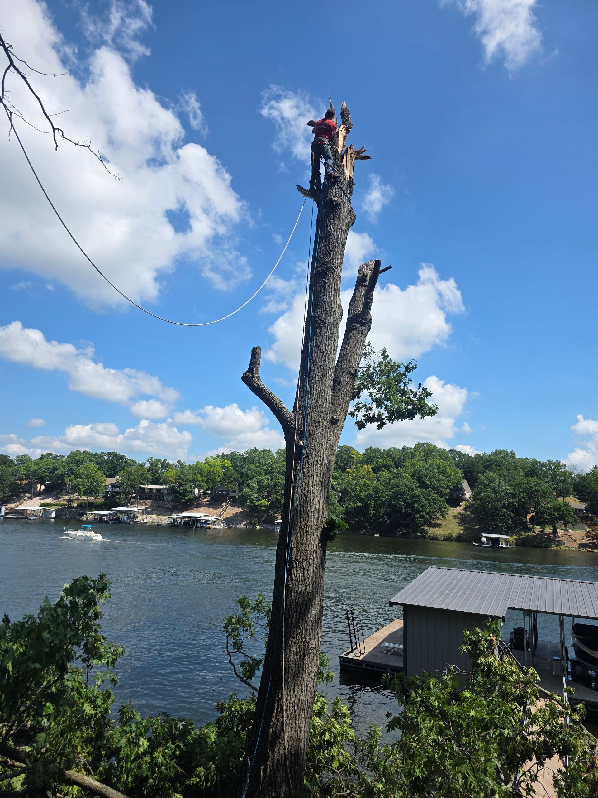 Worker standing atop a tall tree trunk by a river, with boats and a blue sky in the background