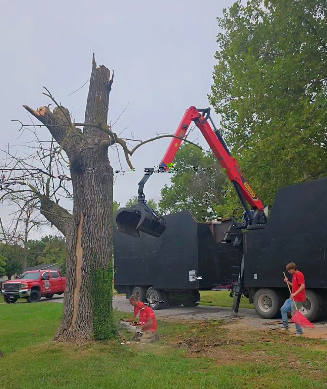 Tree removal crew using a crane to lift a cut tree trunk beside a black truck on a lawn