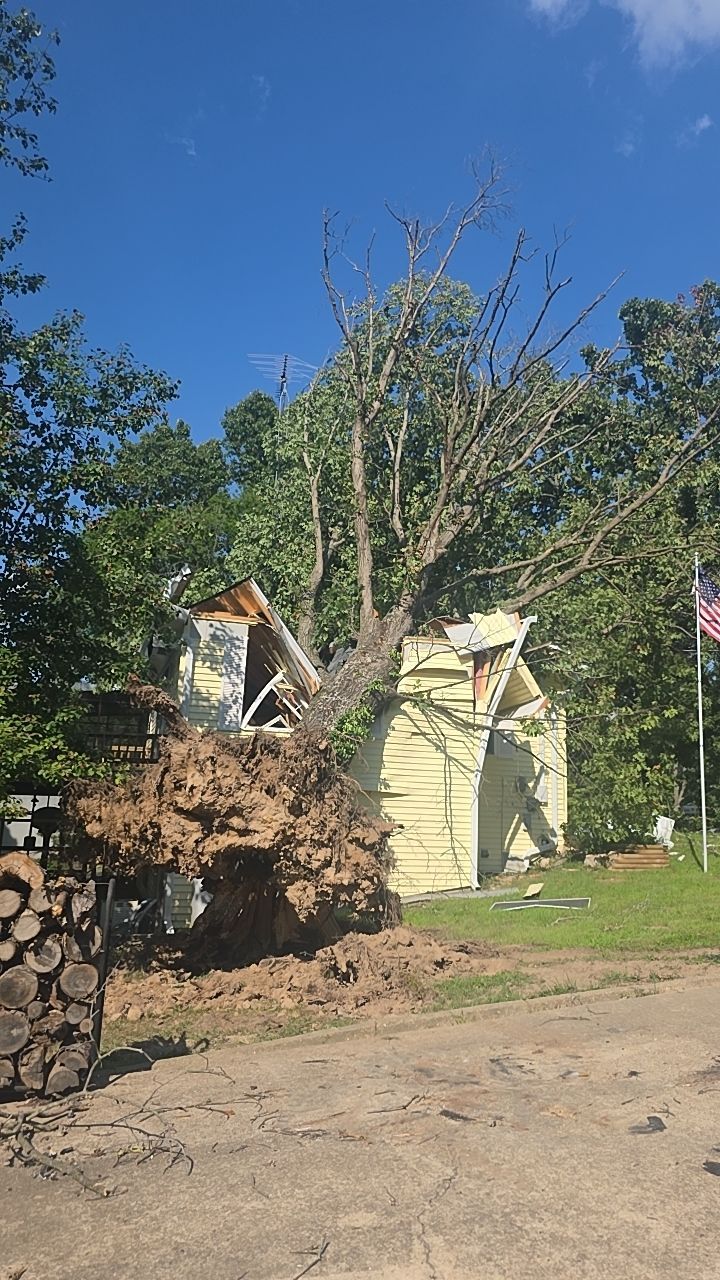 Workers clearing a fallen tree beside a yellow house on a sunny day